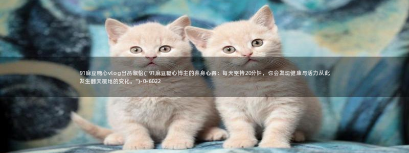 糖心vlog在线免费观看