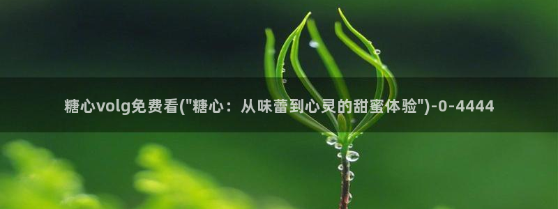 糖心vlog玩偶在线