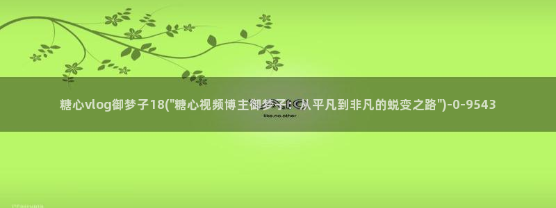 糖心vlogvlog