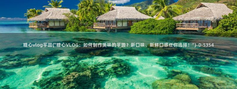糖心vlog?