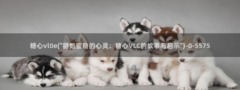 糖心vlog视频