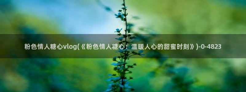 糖心vlog官网现在时间