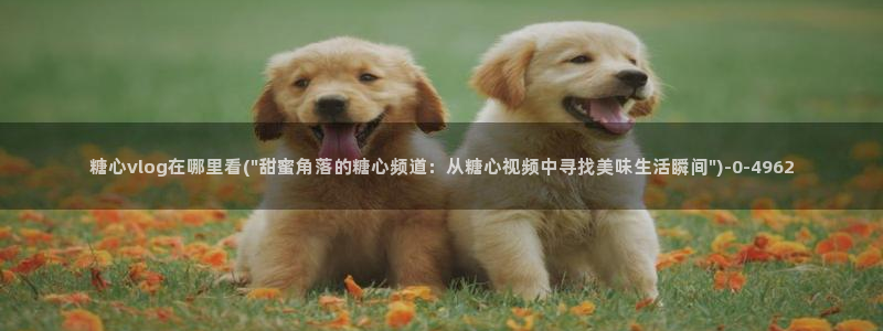 糖心vlog传媒