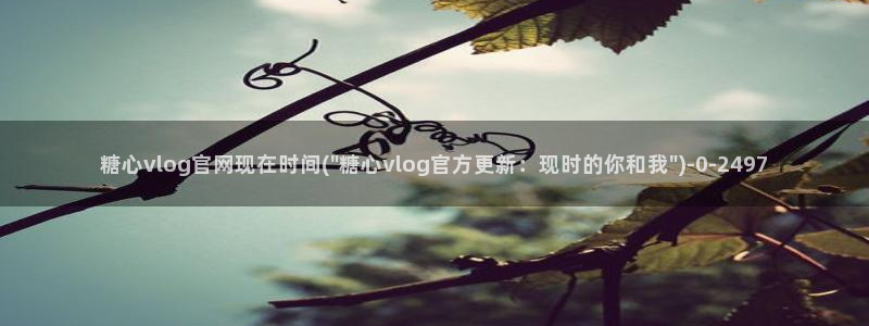 糖心vlog免费破解