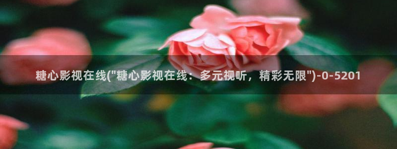 tx糖心vlog