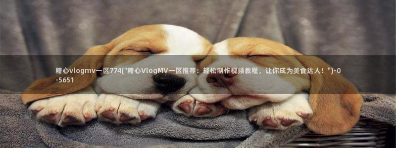 糖心vlog破解版下载www