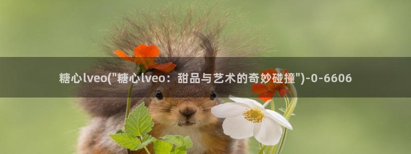 糖vlog原创