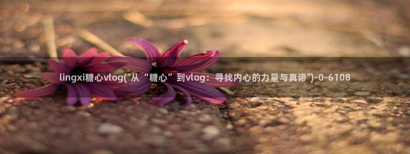 糖心vlog会员