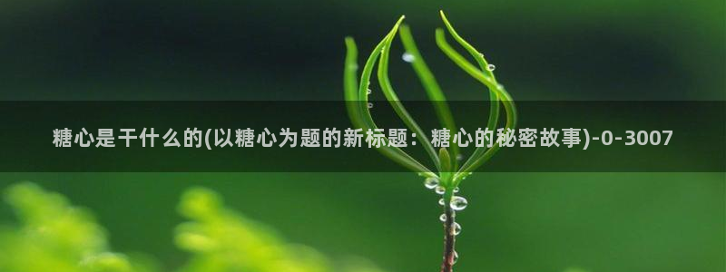 糖果心vlog官网入口