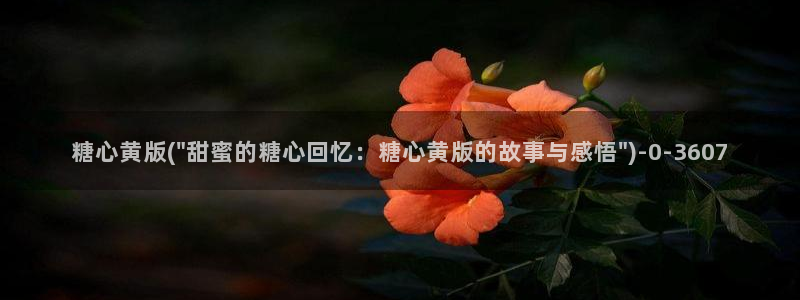 糖心vlog网站观看
