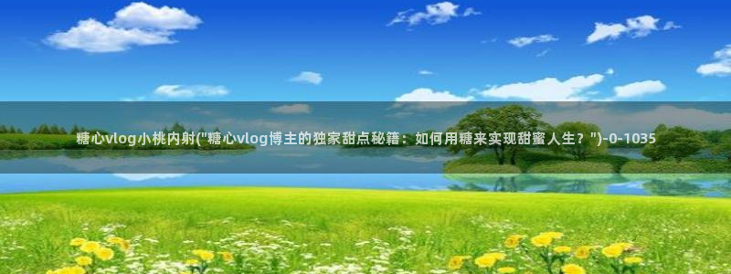 糖心vlog官网破解版