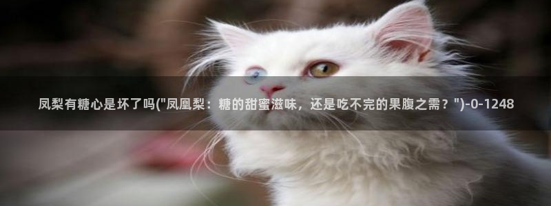 糖心vlog无限