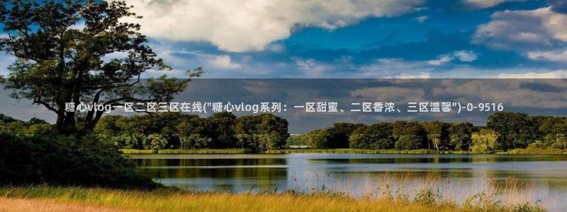 糖心vlog进入